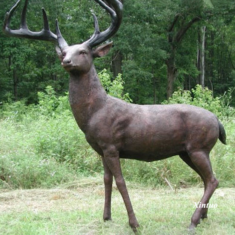 bronze whitetail deer sculpture