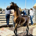 arabian horse bronze sculpture