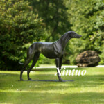 bronze whippet dog sculpture 