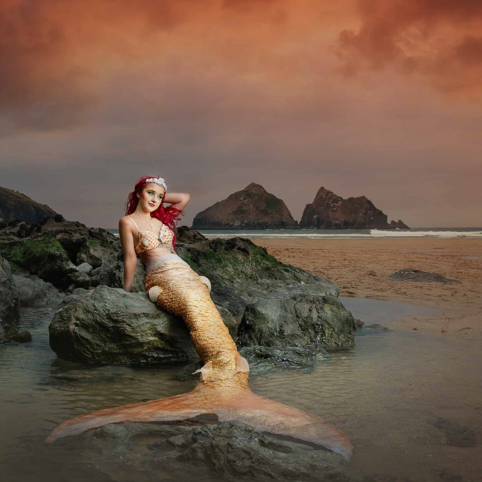 Modern Mermaid Art